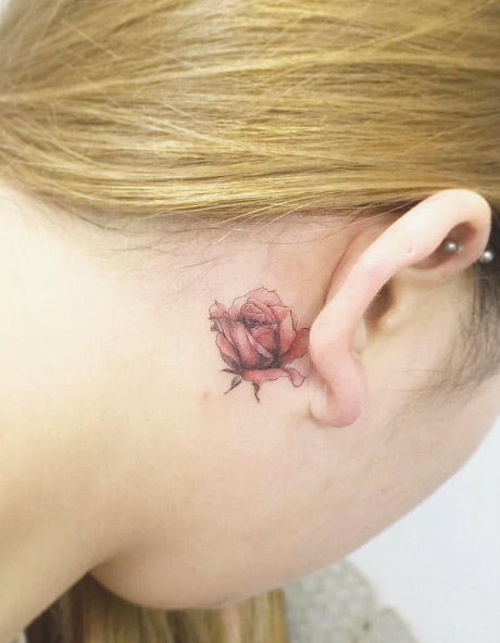 Este atrás da orelha rosa