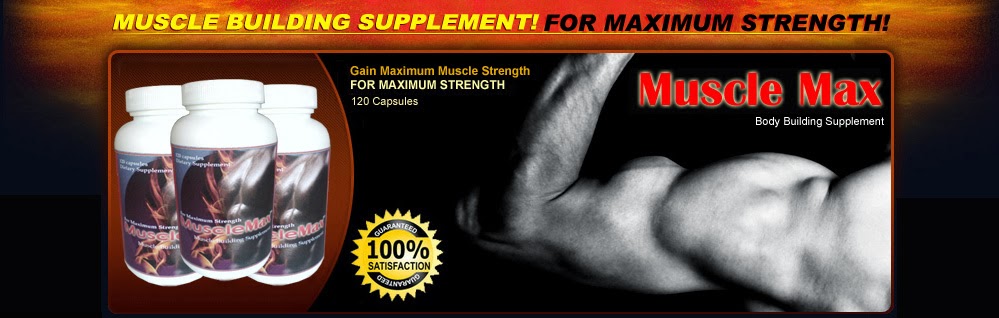 About Muscle Maximizer