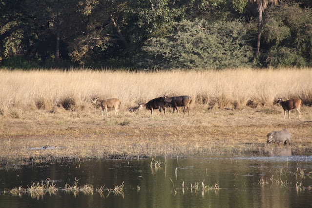 Ranthambore Tiger Reserve