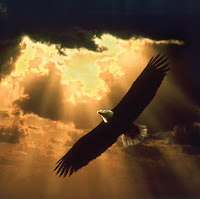 The Eagle Bird
