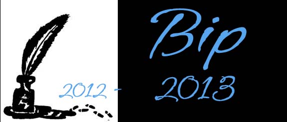 BIP 2012 2013