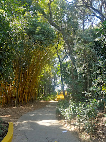 Bosque Maia em Guarulhos