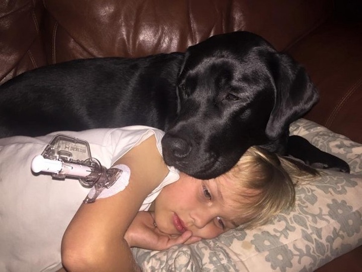 23 Touching Pictures Show That Dogs Are Too Good For Our World