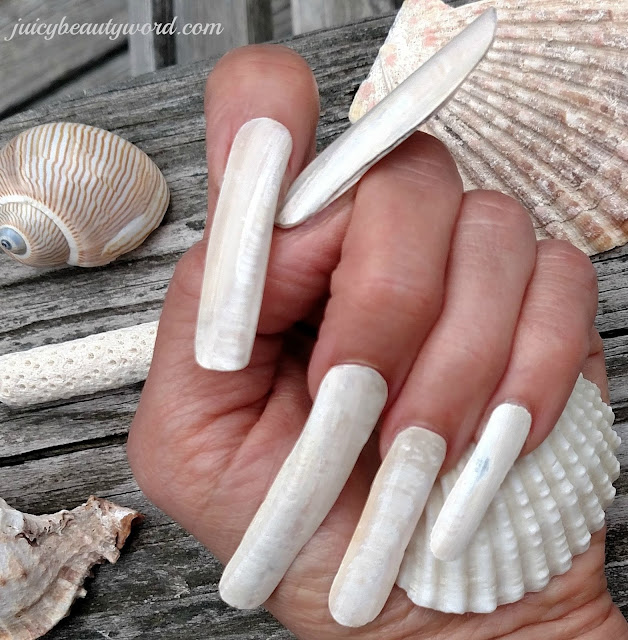 fantasy seashell nails