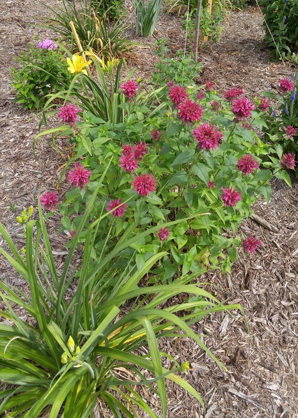 20150619_102717