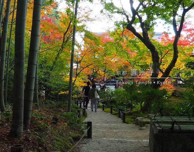 圓光寺の紅葉