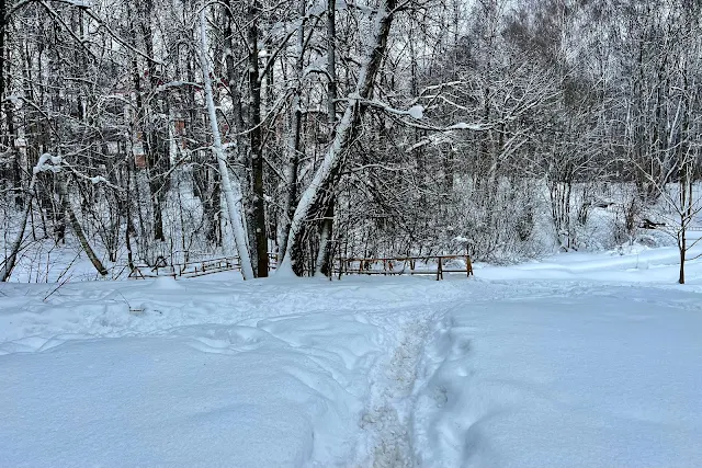 парк Битцевский лес, долина реки Чертановки, пешеходный мост