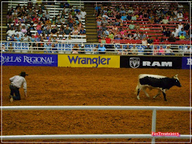 FavTreats Rodeo Texas TX