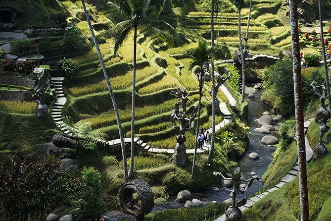 Terasiring yang indah di Alas Harum Bali