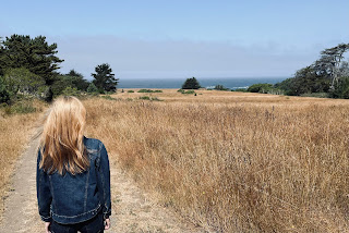 A woman looking at a field of grass and the ocean