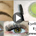 Grow Long, Thick & Strong Eyebrows & Eyelashes In Just 5 Days  DIY Eyelash & Eyebrows Growth Serum