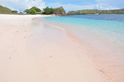 Pulau Komodo NTT : Indah dan Uniknya Pink Beach