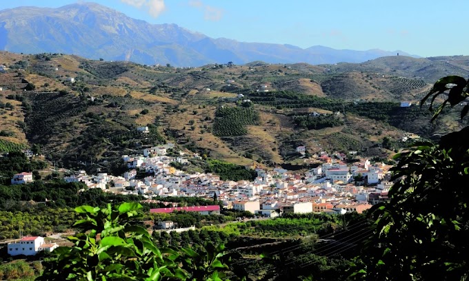 TOPÓGRAFO BENAMARGOSA