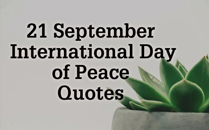 Quotes about world peace , Quotes about peace and war, Quotes about peace and love, i want peace Quotes, Quotes on peace and security.