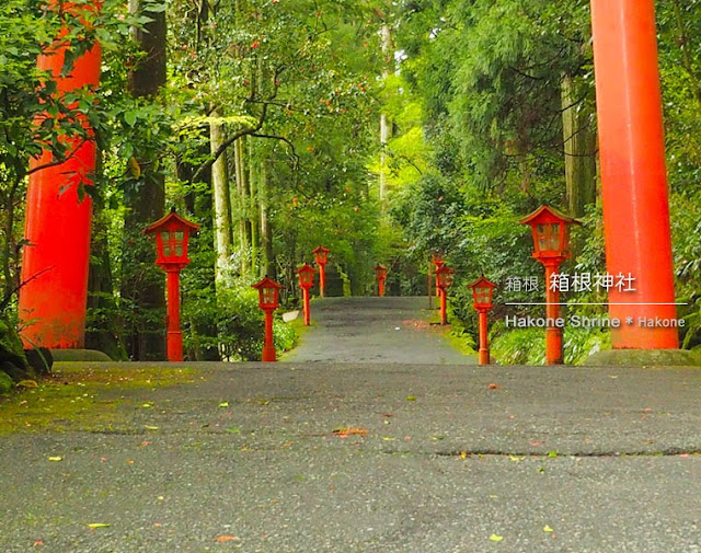 箱根神社：参道