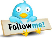 Follow Me Twitter Bird