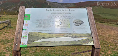 Laguna de Peces (Zamora)