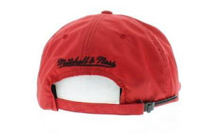 Back View Of Chicago Bulls Zipback Hat
