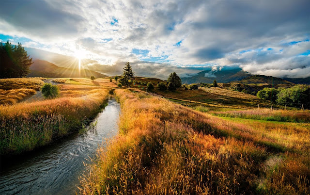 The Hills, New Zealand