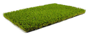 Football grass