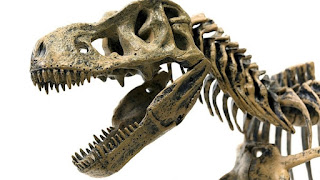 Why You Should Not Google "What Dinosaur Has 500 Teeth"