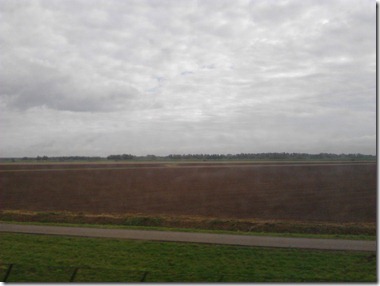 2011-10-18 19.16.23
