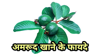अमरूद-खाने-के-फायदे-Benefits-of-eating-guava