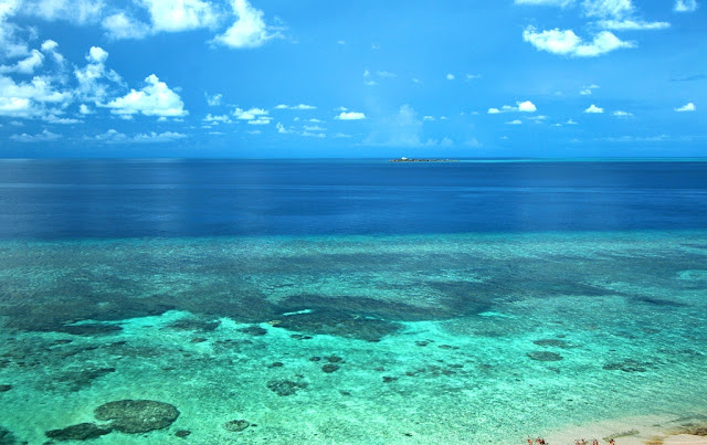 Apo Reef Natural Park