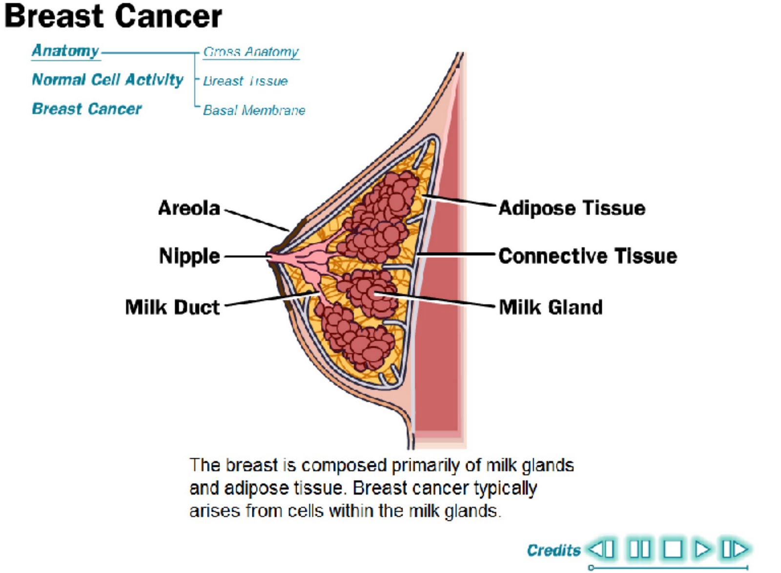 https://blogger.googleusercontent.com/img/b/R29vZ2xl/AVvXsEi8jW4PvIpu-QN2zEKh8o7dGZ95X1JPtijiqrsJDY0aokmpwk2CyNpfaG5lHAKvgOqlrzgZ0VldQrrD6r05Ki0ooF1JjswdO9ZxyyAWgIZoqiBRYWqTc7_IlfGFnMIN8GMgVn3diISxg-wG/s1600/breastcancer.jpg