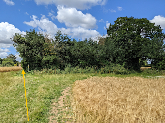 Stay on Kimpton bridleway 51 following the line of the yellow arrow