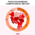 Campos Gerais Registra mais de 400 focos de incêndio em 2020