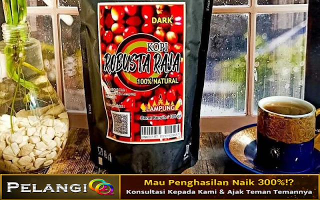 Makanan Khas Lampung Terkenal & Wajib Kamu Coba