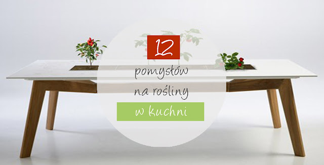 12 pomysłów na rośliny w kuchni