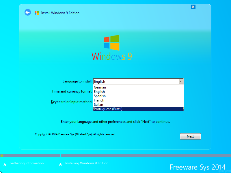 Windows 9 Professional Language Installation 2014