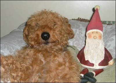Christmas Card