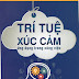 Trí Tuệ Xúc Cảm - Ứng Dụng Trong Công Việc - Daniel Goleman