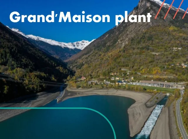 Grand'Maison plant