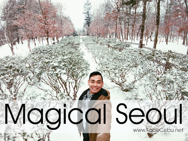 Magical Seoul Cover taken by Oppo F3 Smartphone