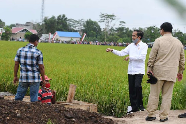 Ketika Ambisi Food Estate Pemerintah Rugikan Petani di Kalteng