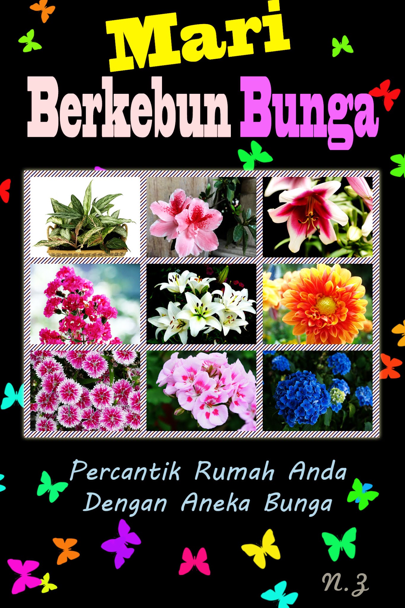 Mari Berkebun Bunga: Percantik Rumah Anda Dengan Aneka Bunga