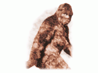 In Search Of Bigfoot