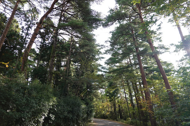 鳥取県西伯郡伯耆町丸山　ロイヤルシティ大山　赤松の森