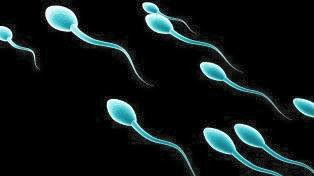 a sperm of a man 