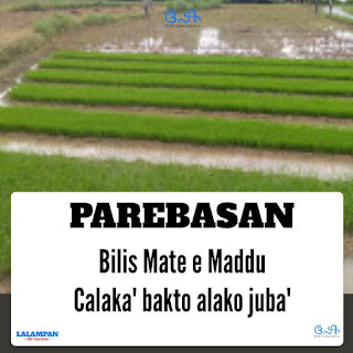 Parebasan Madura, Sastra Madura, Sanja', Basa Madura, Bahasa Madura,