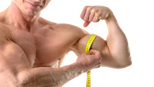 measuring big biceps with tape measure