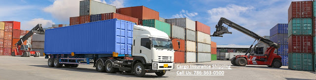 Domestic Cargo Policy