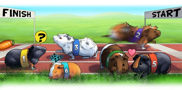 Original: Guinea Pig Race by Risachantag