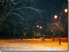 DSCN7508