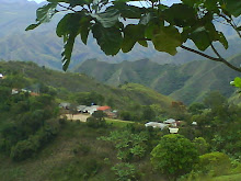ESCUELA OMEGA