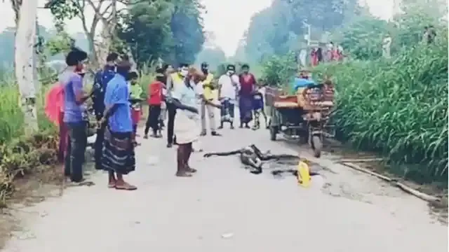 উল্লাপাড়ায় ভ্যান চালকের অর্ধগলিত লাশ উদ্ধার আটক-১